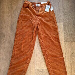 BNWT BDG High-Rise Baggy Corduroy Pants - Size 28